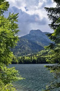 Scenic view of lake in forest against sky