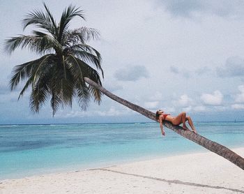 Mid adult bikini woman lying on palm tree trunk at beach