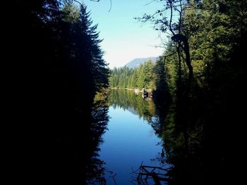 Reflection of trees in lake against sky