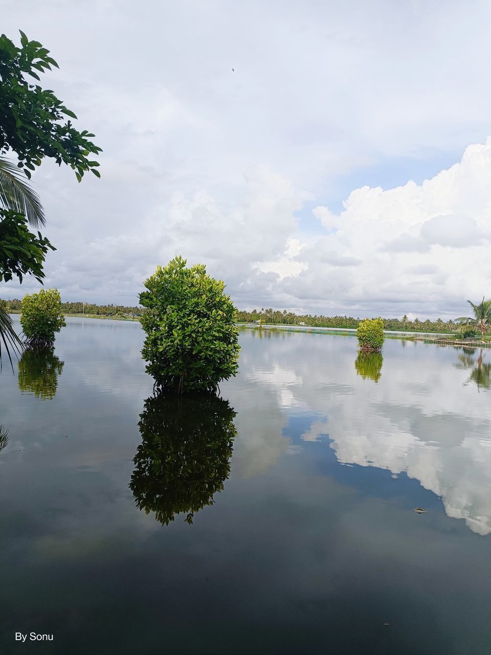 reflection, water, cloud, sky, nature, lake, plant, tree, tranquility, beauty in nature, environment, scenics - nature, no people, tranquil scene, day, outdoors, landscape, standing water, body of water, travel, travel destinations, green, non-urban scene, sunlight, tourism, land