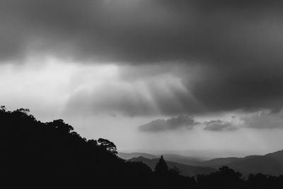 Low angle view of silhouette trees against sky