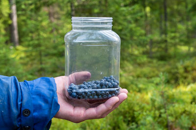 Man's hand holds a jar of organic blueberries in the forest.