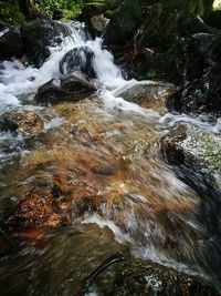 Stream flowing through rocks in forest