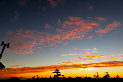 Low angle view of silhouette trees against sky during sunset