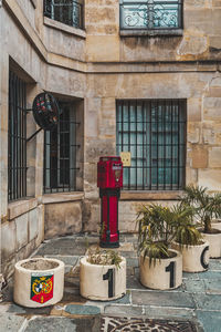 Potted plant on balcony of building