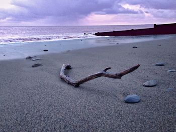 Driftwood on sand at beach against sky