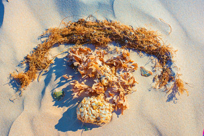 Close-up of sand