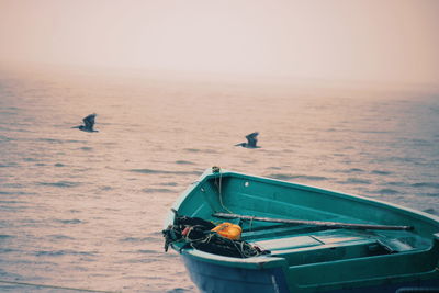 View of seagull on boat