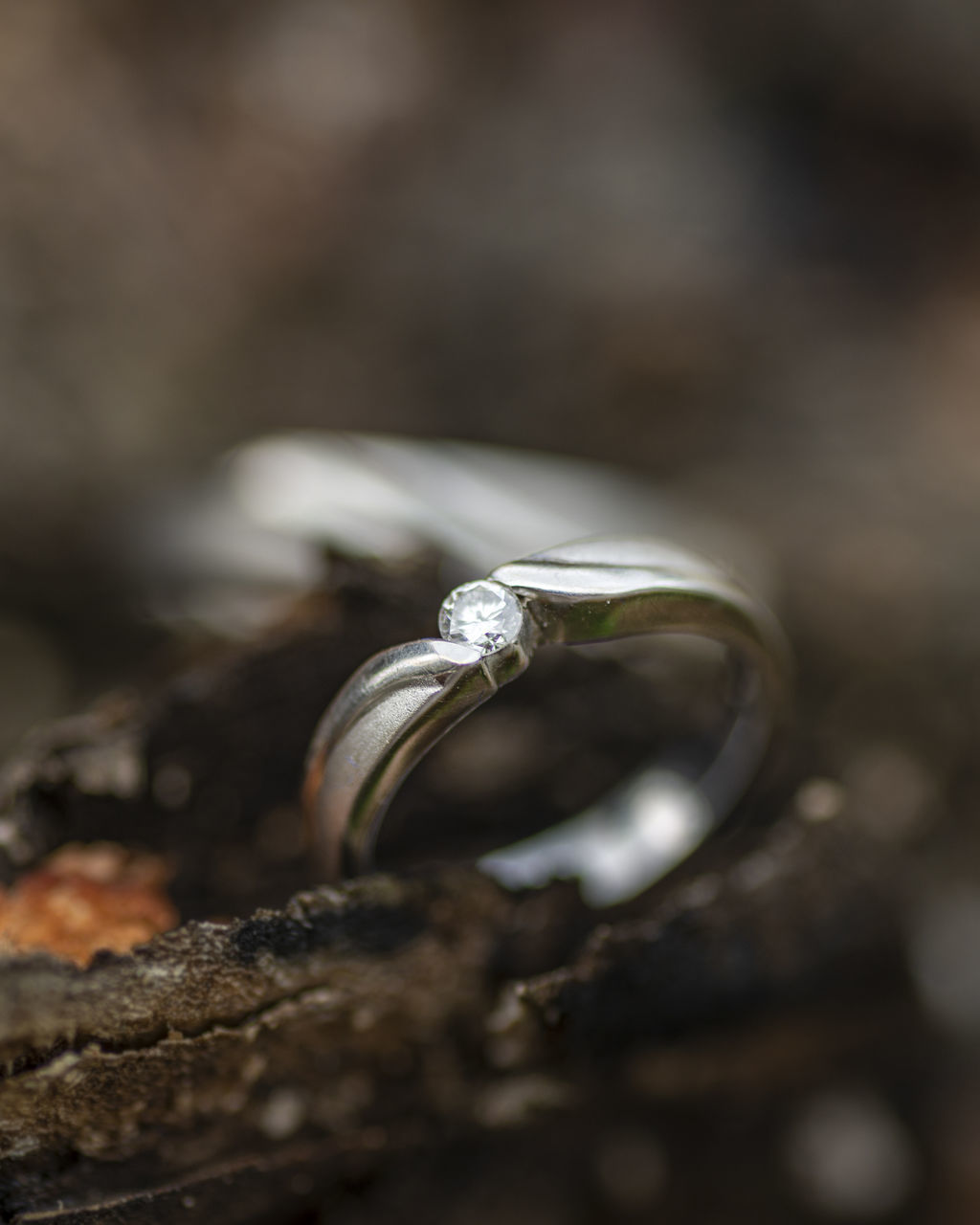 CLOSE-UP OF WEDDING RINGS