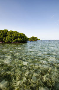 Scenic view of sea against clear sky