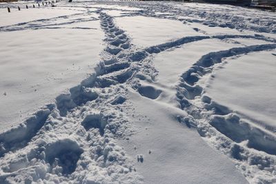 Close-up of snow on sand