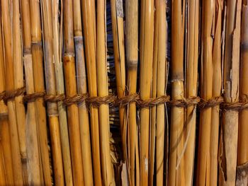 Full frame shot of bamboo sticks