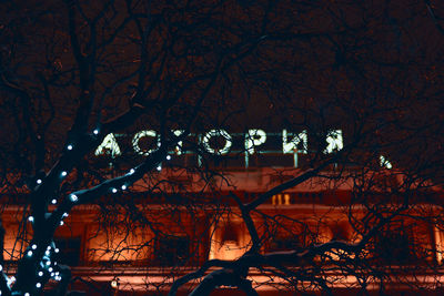 Low angle view of illuminated trees at night