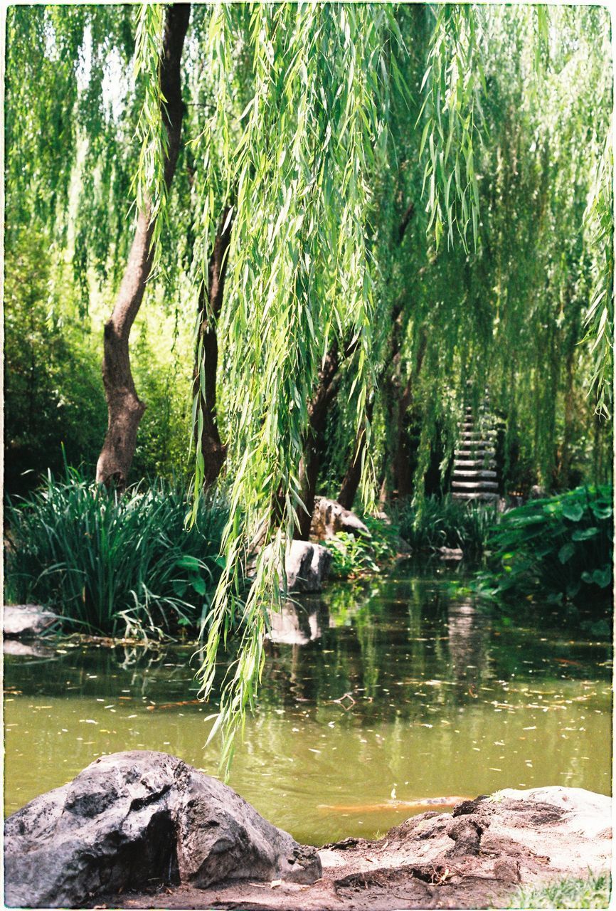 VIEW OF A LAKE