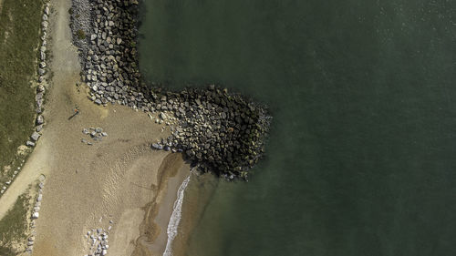 High angle view of starfish on beach