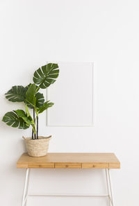 Potted plant on table against white wall