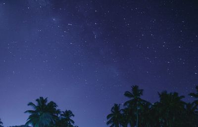 Low angle view of trees against star field at night