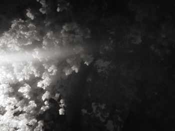 Low angle view of sky