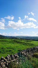 Scenic view of grassy field against cloudy sky