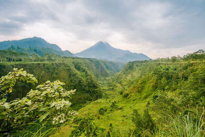Scenic view of merapi mountains in yogyakarta, indonesia against sky