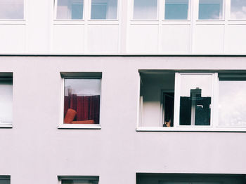 Dog looking through window