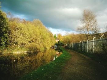 Dog amidst trees against sky