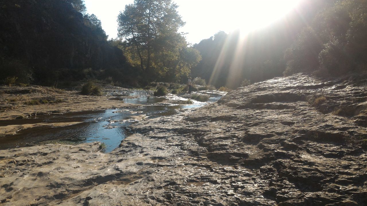 SCENIC VIEW OF RIVER STREAM AMIDST TREES IN FOREST