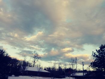 Bare trees against sky during sunset