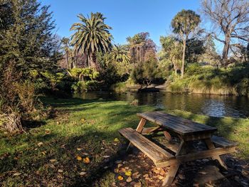 Bench by lake in forest