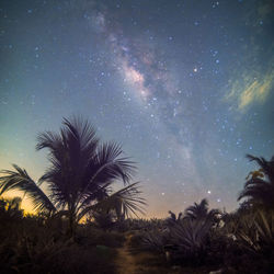 star