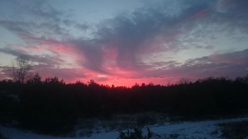 Silhouette trees in forest against sky during sunset