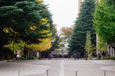 Footpath in city