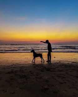 Silhouette man and dog on beach against sky during sunset