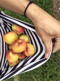 High angle view of man hand holding apple