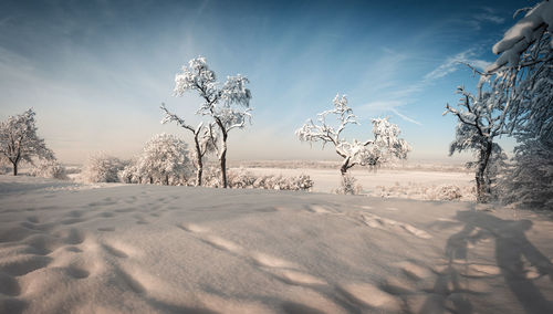 Scenic view of snow covered land against sky