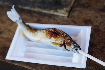 High angle view of fish on table