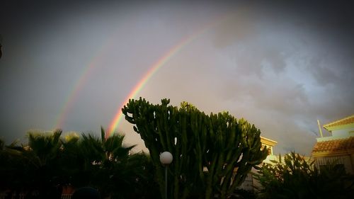 Low angle view of rainbow over trees against sky