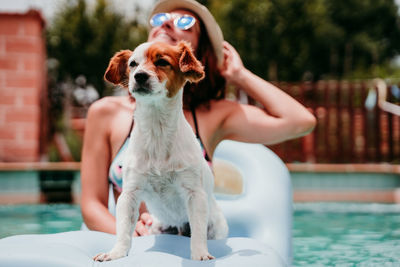 Dog on swimming pool
