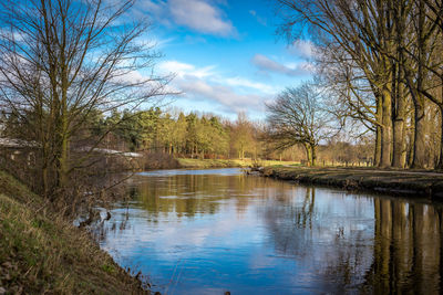 Scenic view of lake in forest against sky