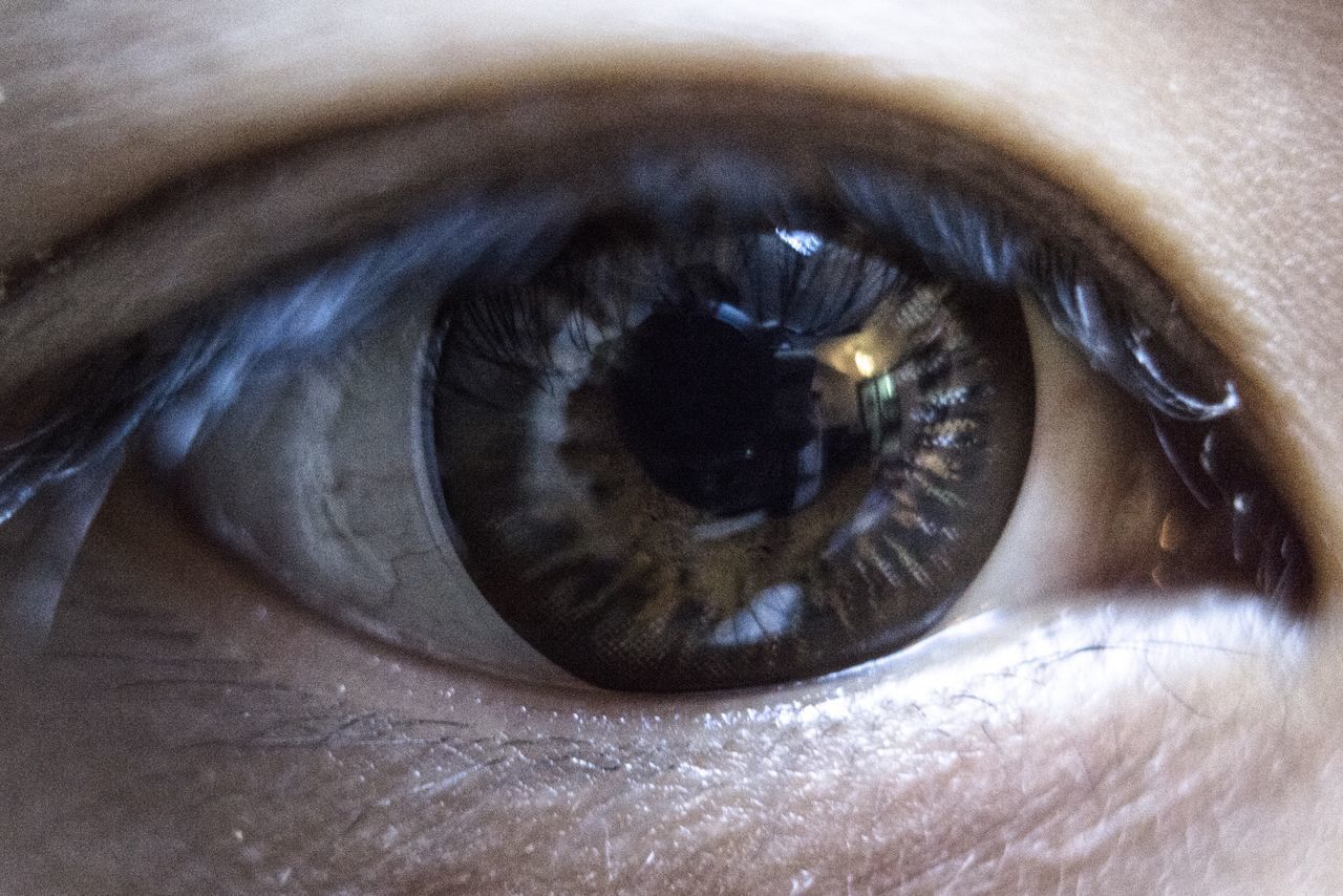 indoors, close-up, human eye, eyelash, eyesight, sensory perception, part of, high angle view, extreme close-up, circle, directly above, unrecognizable person, eyeball, reflection, full frame, iris - eye, selective focus