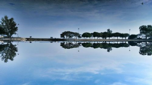 Reflection of trees in water