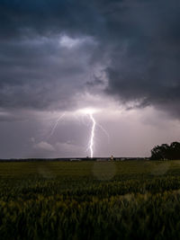 Panoramic view of lightning over field