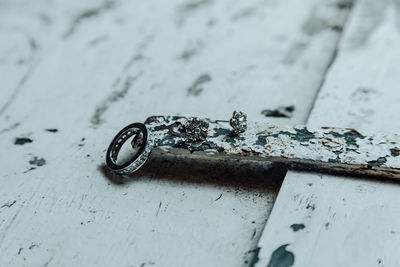 High angle view of a reptile on rusty metal