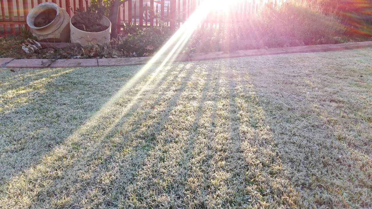 Frost on the grass