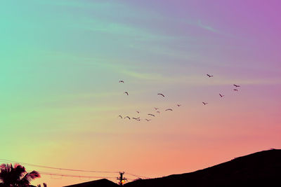 Low angle view of birds flying in sky