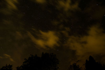 Low angle view of trees against sky at night