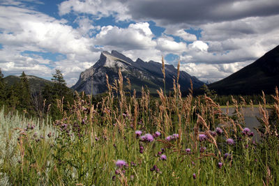 Scenic view of rundle mountain against sky