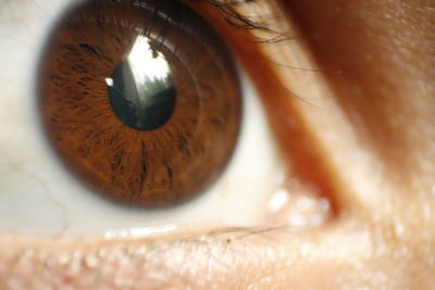 Close-up of human eye