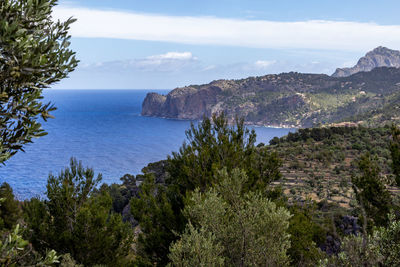 Scenic view at landscape at serra de tramuntana between soller and valldemossa, mallorca