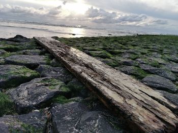 Scenic view of rocks on beach against sky